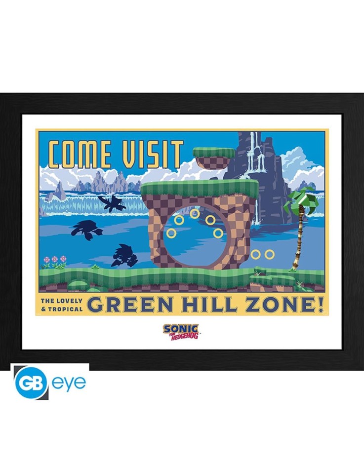 Sonic The Hedgehog Green Hill 30 x 40cm Framed Collector Print