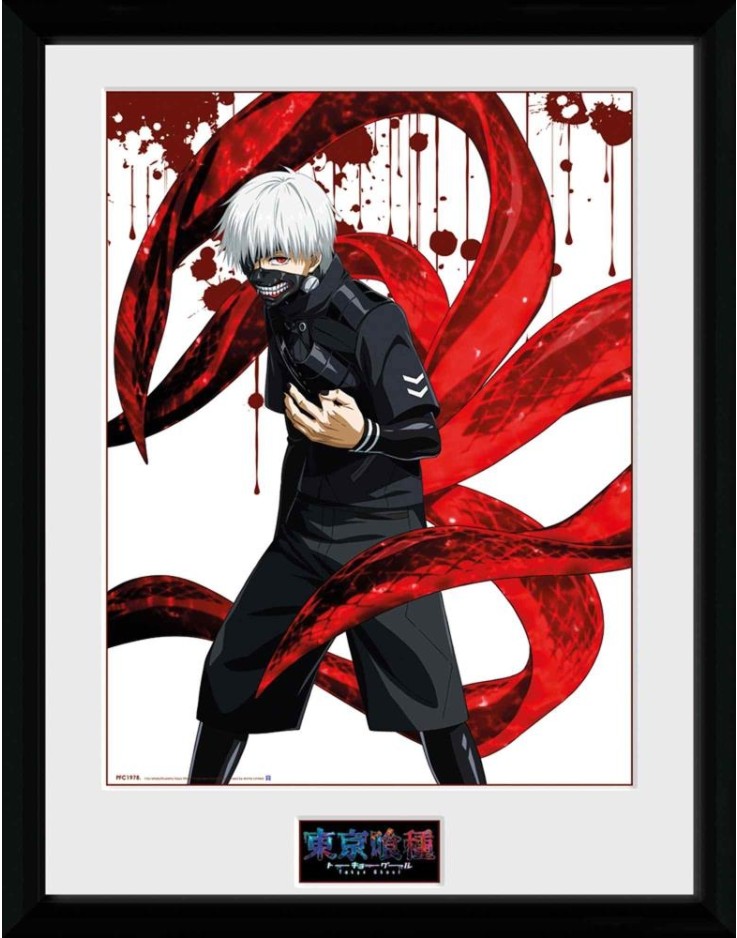 Tokyo Ghoul Ken 30 x 40cm Framed Collector Print