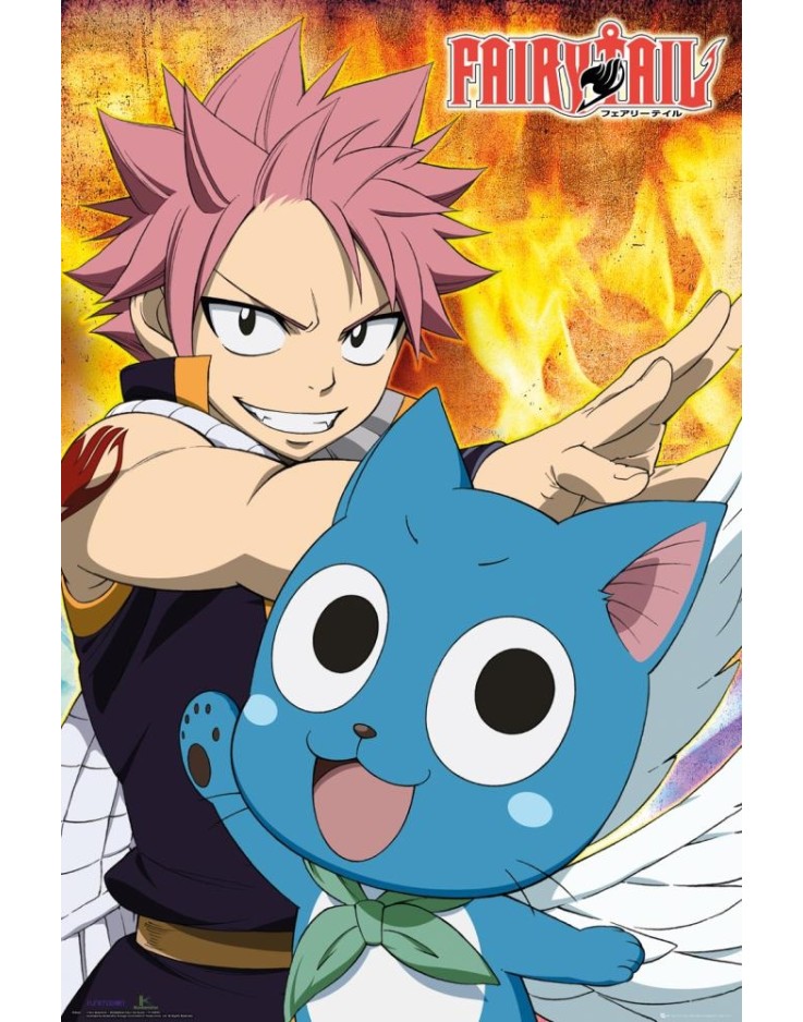 Fairy Tail Natsu & Happy 61 x 91.5cm Maxi Poster