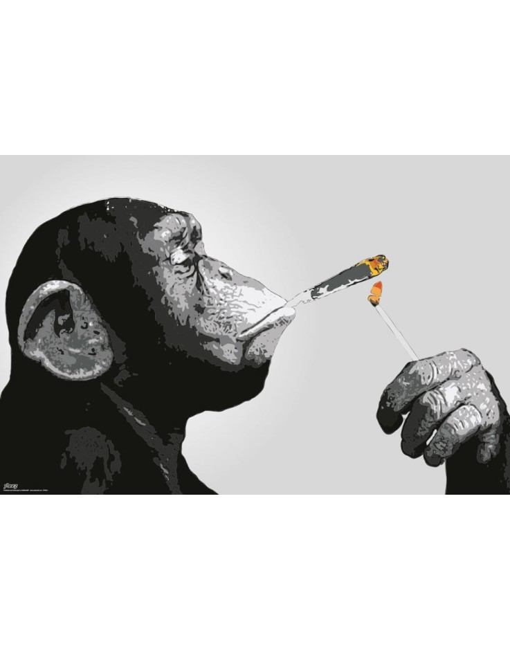 Steez Smoking 61 x 91.5cm Maxi Poster