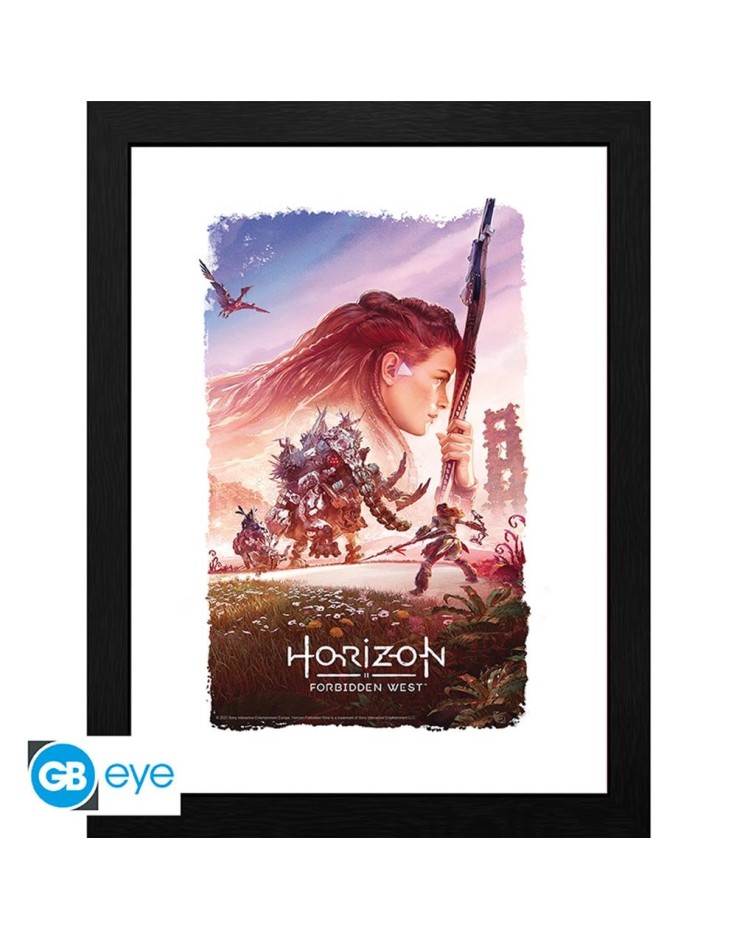 Horizon Forbidden West Key Art 30 x 40cm Framed Collector Print