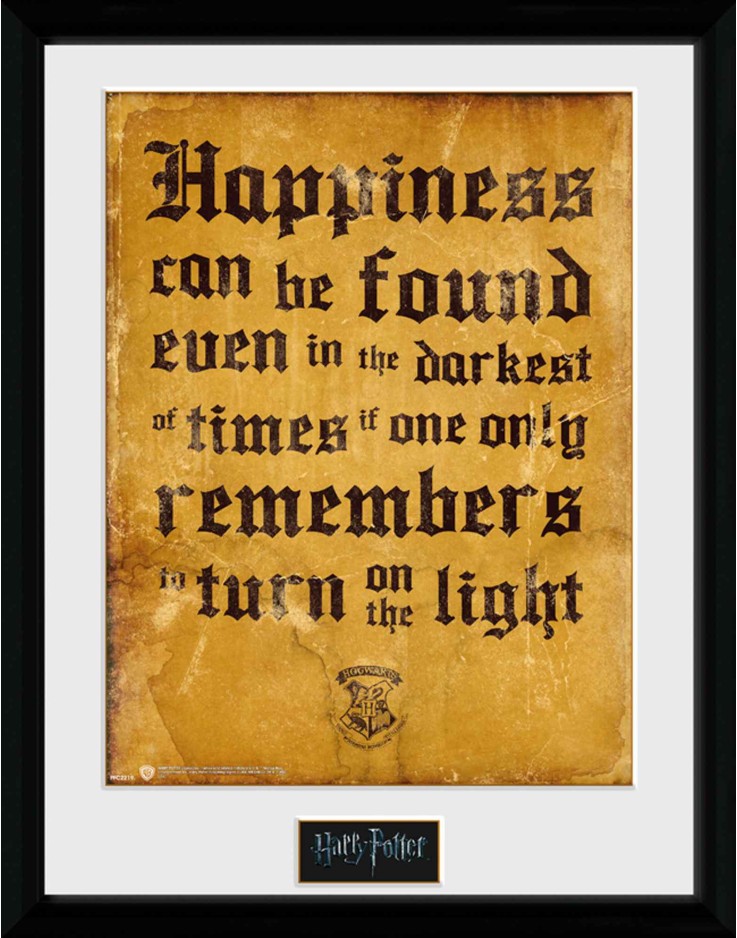 Harry Potter Happiness Can Be 30 x 40cm Framed Collector Print