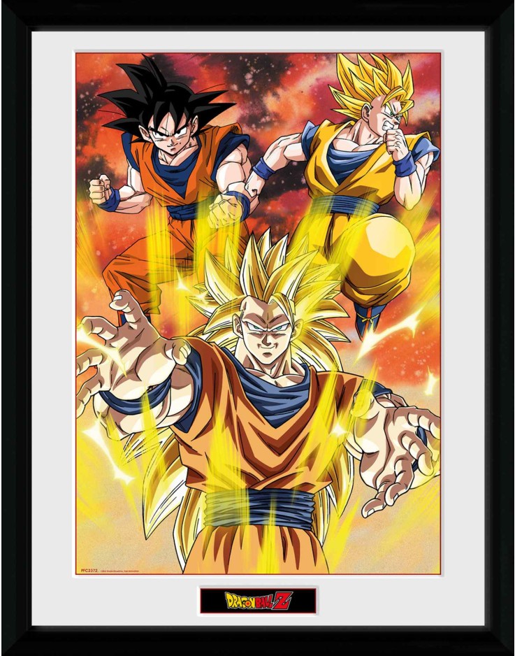 DRAGON BALL - Framed Print 12x16 - 3 Gokus*