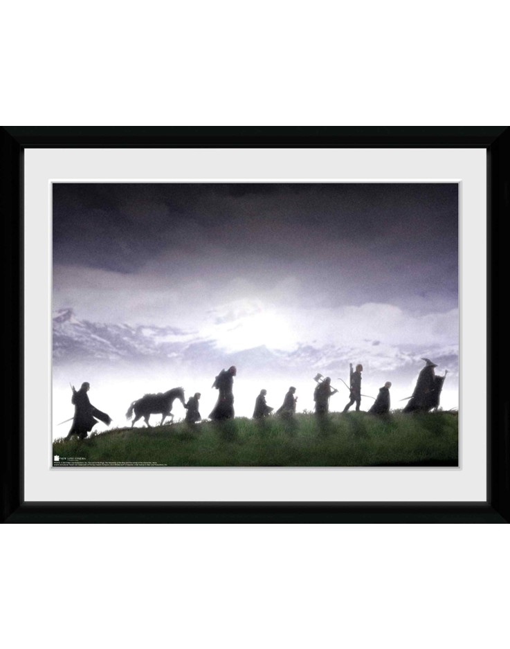 The Lord of The Rings Fellowship 30 x 40cm Framed Collector Print