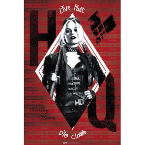 DC Comics Harley Quinn 61 x 91.5cm Maxi Poster