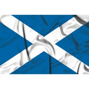 Scotland Flag 61x91.5cm Maxi Poster