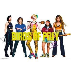 DC Comics Birds of Prey Group 61 x 91.5cm Maxi Poster