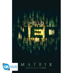 The Matrix Hello Neo 61 x 91.5cm Maxi Poster