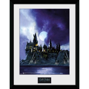 Harry Potter Hogwarts Painted 30 x 40cm Framed Collector Print