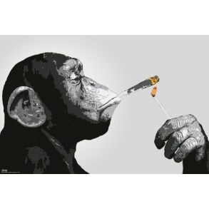 Steez Smoking 61 x 91.5cm Maxi Poster