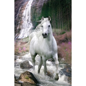 Bob Langrish Waterfall 61 x 91.5cm Maxi Poster